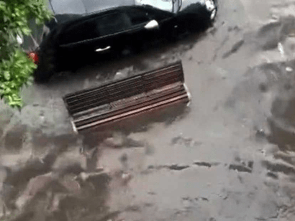 Days of aqua&nbsp;pazza